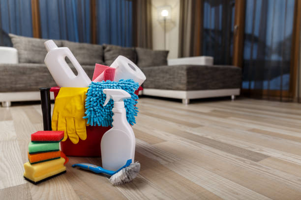 istock Cleaning service. Sponges, chemicals and plunger. 655529268
