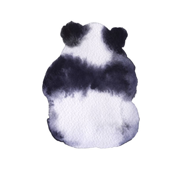 niedźwiedź panda. odizolowane na białym tle. - bamboo watercolor painting isolated ink and brush stock illustrations