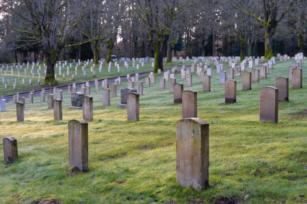 istock Sunrise over the Military Cemetary 655544224