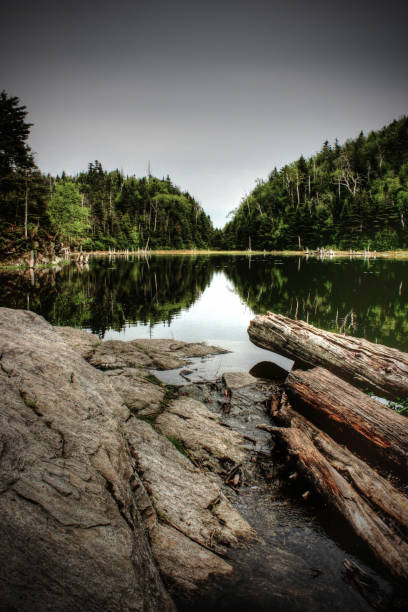 log on a lake log on a lake with reflecting mountains sutton park stock pictures, royalty-free photos & images