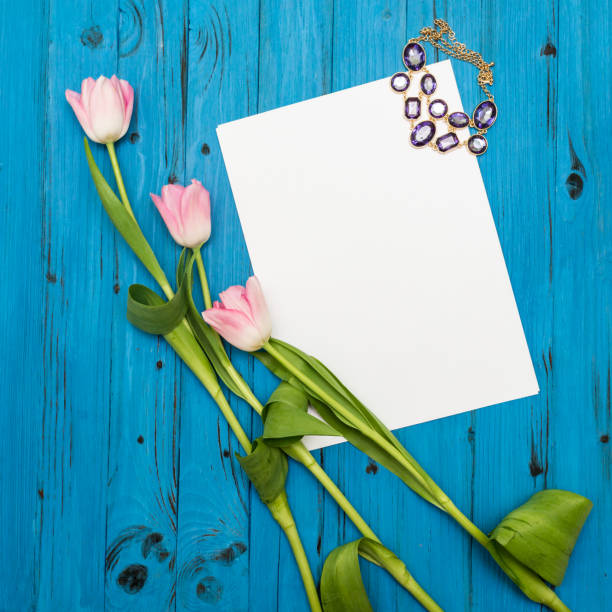 pink tulips on a blue wooden board - 11927 imagens e fotografias de stock