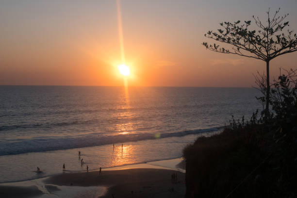 istock Bougainvillea and Orange Sunset above ocean Kerala 655555548