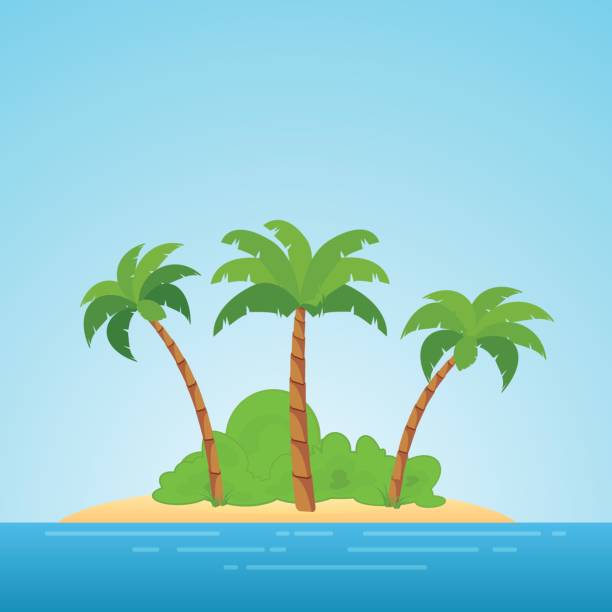 2,782 Cartoon Coconut Tree Stock Photos, Pictures & Royalty-Free Images -  iStock