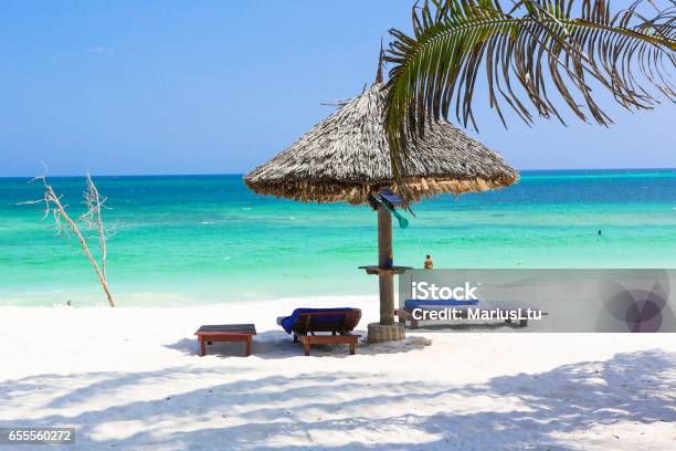 Turtle Beach Watamu Kenya Stock Photo - Download Image Now - Kenya, Beach, Vacations