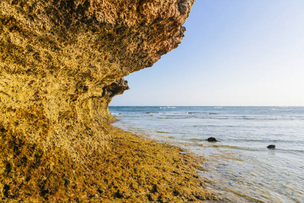 istock Beach view in Watamu, Kenya, Africa. 655560470