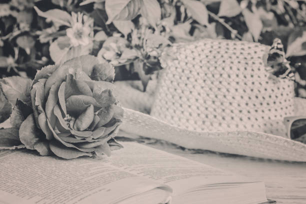 istock Rose, book, hat on the table, black and white 655560514