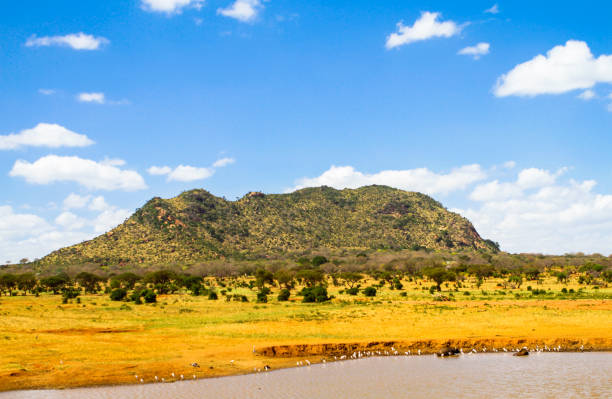 istock Tsavo East National park. Kenya. 655560926