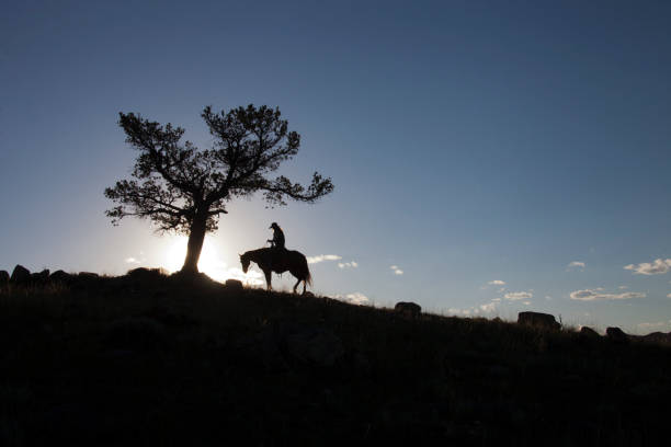Silhouette Cowgirl