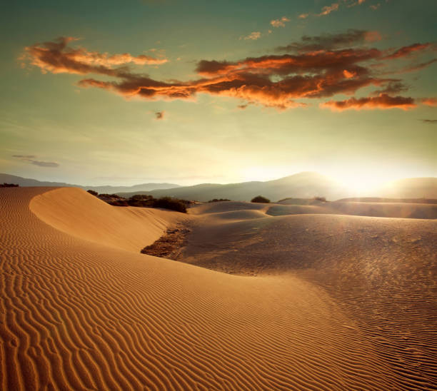 istock Sand dunes at sunset light on background of dramatic sky 655582396