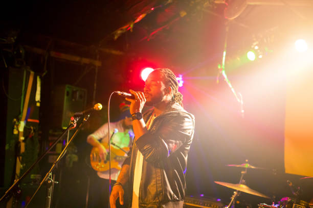 istock Live performance of rock band 655582738