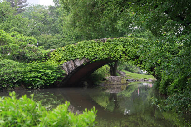istock Central Park Overgrown on the Bridge 655585962