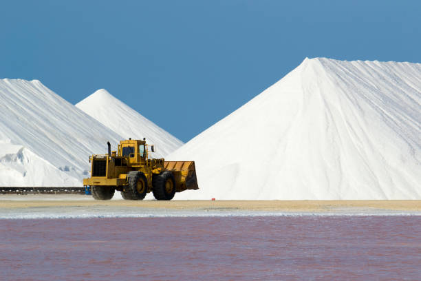 Salt flat and mount and a bulldozer Kralendijk, Bonaire, Netherlands Antilles, 01st April 2015. Bulldozer truck in front of salt mounts at a salt mine operated by Cargill. A salt pan on the foreground and clear blue sky on the background. salt flat stock pictures, royalty-free photos & images