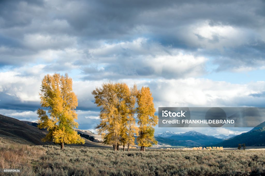 Ominous Lamar Valley Autumn Stock Photo