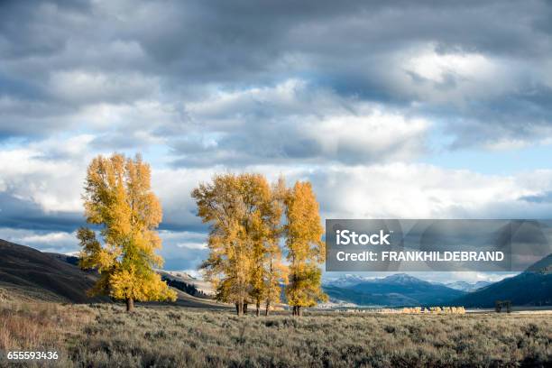 Ominous Stock Photo - Download Image Now - Autumn, Dramatic Sky, Horizontal