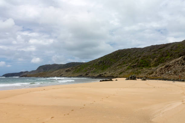 istock Lion Beach Fernando de Noronha Brazil 655594038