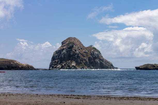 istock Lion Beach Fernando de Noronha Brazil 655594366