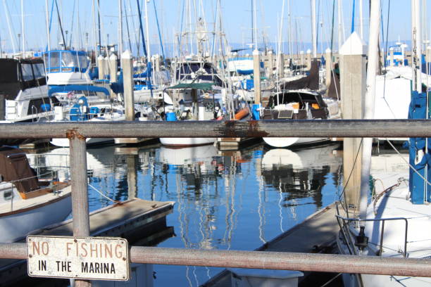 istock Boats in water in Monterey, USA 655596448
