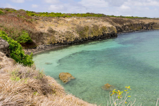 istock Sueste Beach Fernando de Noronha Brazil 655596758