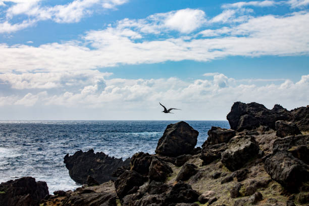 istock Sueste Beach Fernando de Noronha Brazil 655596782