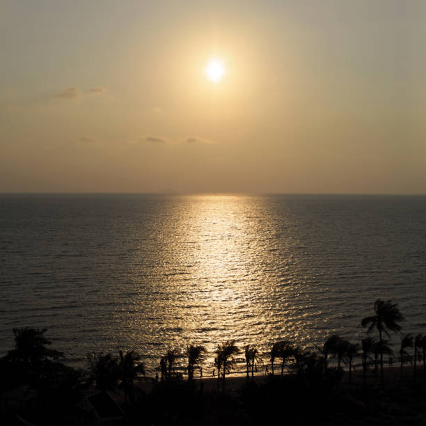 istock high angle view of sunset beach landscape with coconut trees silhouette 655603738