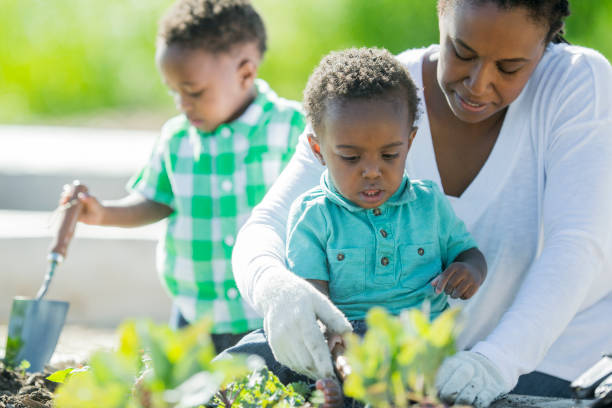 istock Mother Gardening with Her Sons 655604336