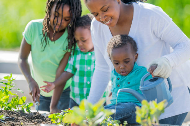 istock Watering the Garden Together 655604350