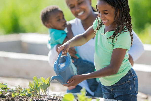 istock Watering the Garden on a Sunny Day 655604356