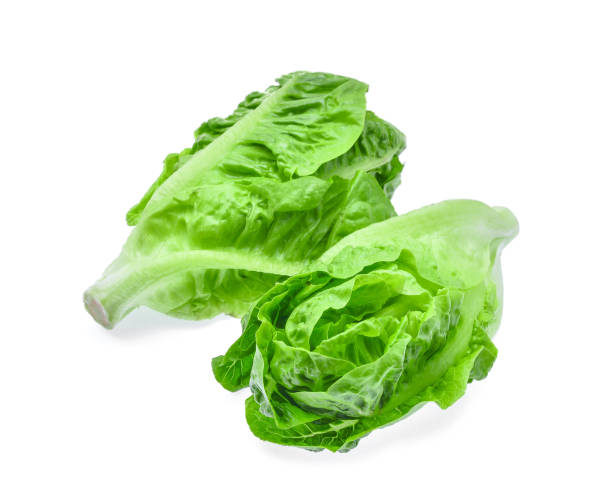 istock two fresh baby cos,lettuce isolated on white background 655609942