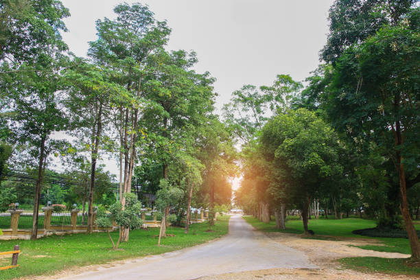 istock runway in public park with sunlight in the morning 655610114