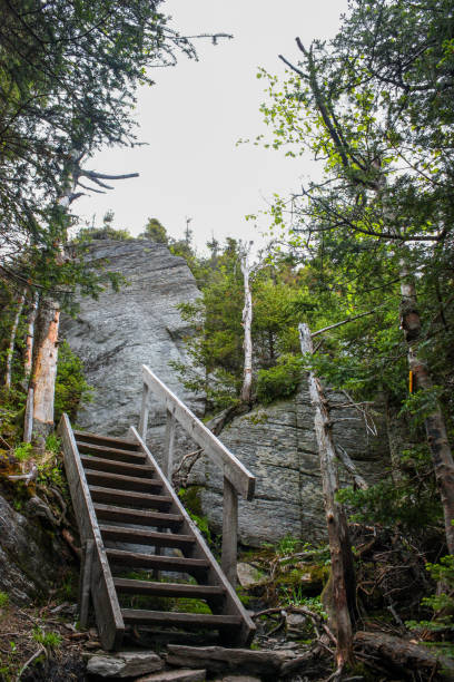 stairway in a hiking trail stairway in a hiking trail in mont sutton sutton park stock pictures, royalty-free photos & images