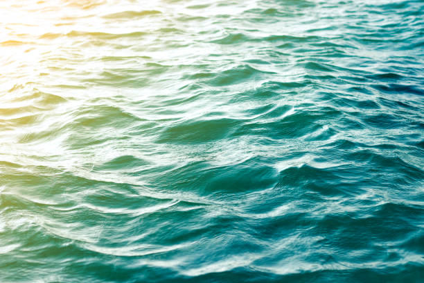 ローアングル ビュー ビンテージ スタイルをすぐに海の波 - ripple nature water close to ストックフォトと画像