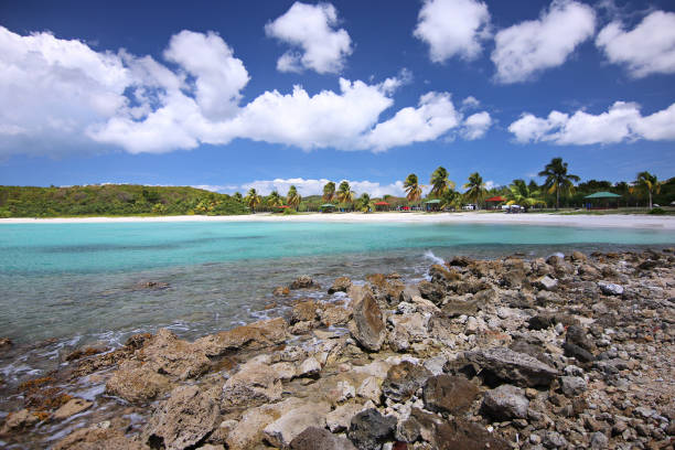 spiaggia di caracas, isola vieques, porto rico - isabella island foto e immagini stock