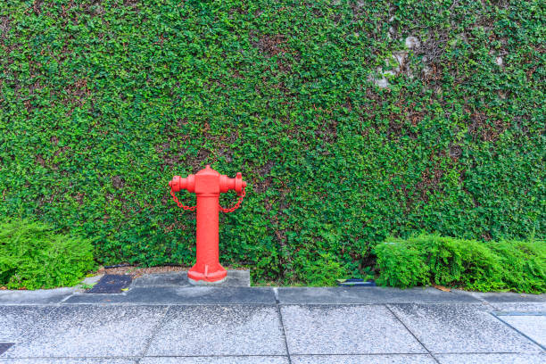 Red fire water supply  and with green tree wall