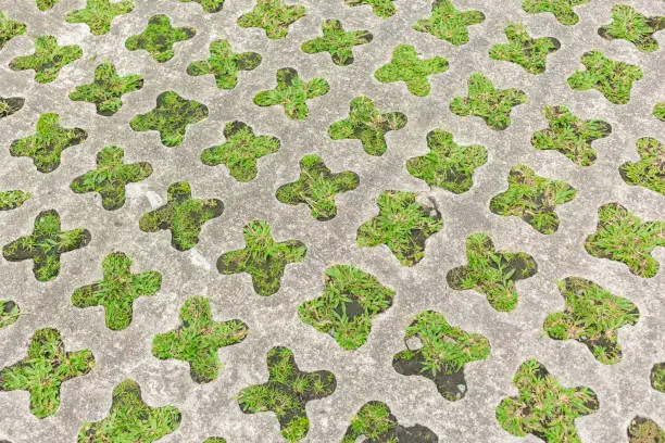 Paving-stone in a lattice shape and green grass in the holes