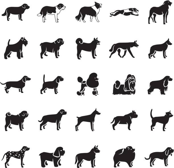 Dogs vector icon Dogs glyph vector icons japanese akita stock illustrations