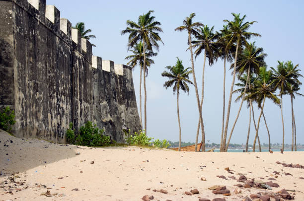 istock Old public domain wall, sand and coconut palms. African sea landscape. 655626510