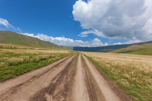istock plateau of Assy is Kazakhstan 655634878
