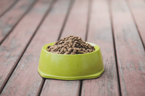 istock Dog food in a bowl 655645024