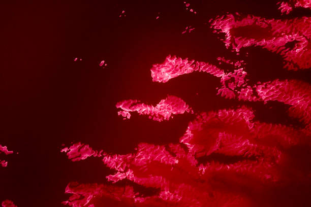 istock red light reflections at sea in the night 655649092