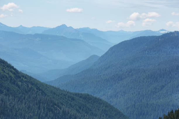 Mount Rainier national park, Washington, USA