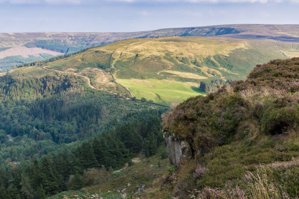 istock Landscape in the North York Moors, UK 655659148