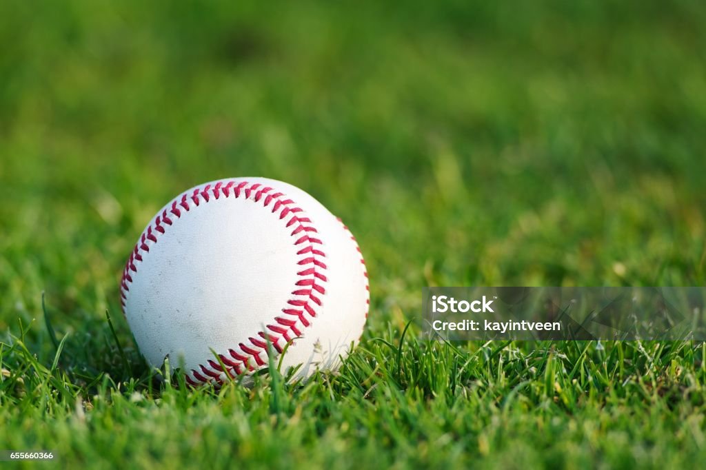 White used baseball White used baseball on the green grass close-up as macro shot with copy space on the right and top Baseball - Ball Stock Photo