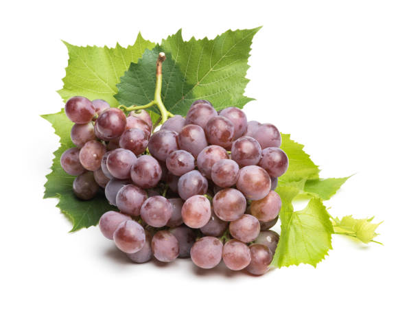 istock Bunch of grapes  on white background 655663134