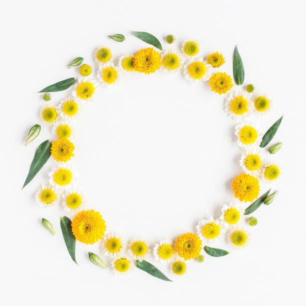 istock Wreath made of various yellow flowers on white background 655663278