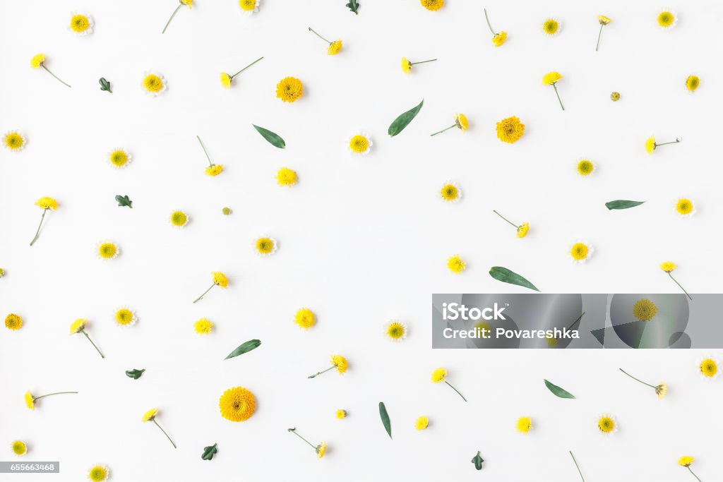 Marco de varias flores de color amarillo sobre fondo blanco - Foto de stock de Flor libre de derechos