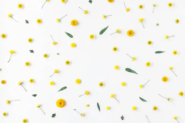 Photo of Frame made of various yellow flowers on white background