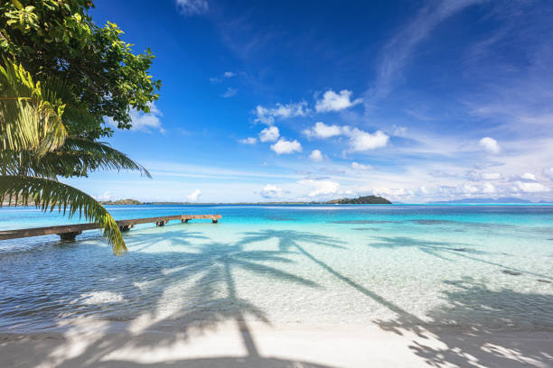 Bora Bora Island beautiful beach with boat jetty. Palm Tree shadows in the turquoise clear water, view over beautiful turquoise lagoon. Bora Bora Island, Society Islands, French Polynesia.