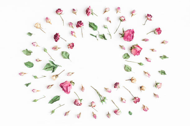 istock Flowers composition. Frame made of dried rose flowers 655664658