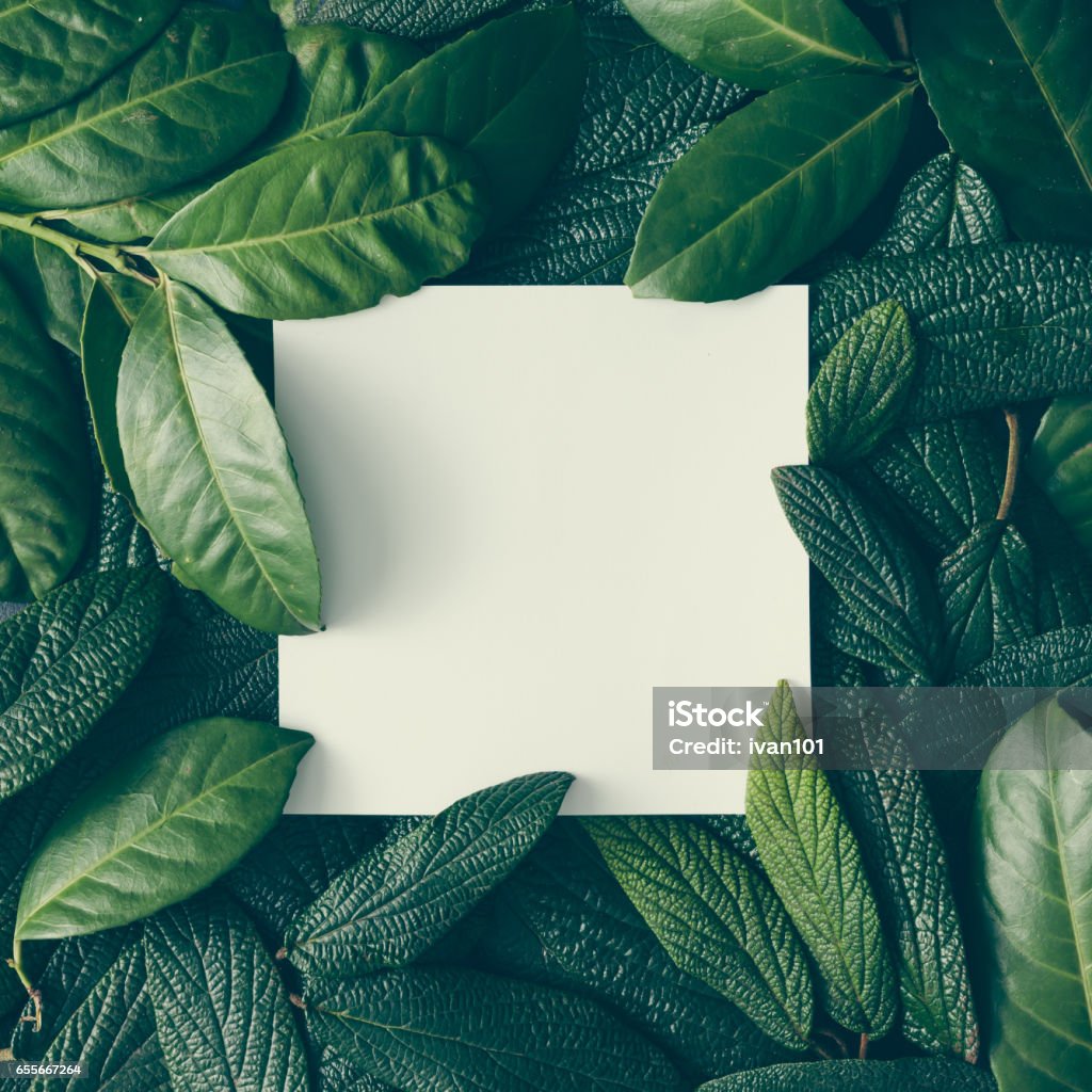 Layout criativo feito de folhas verdes com bilhete de papel cartão. Plano de leigos. Conceito de natureza - Foto de stock de Folha royalty-free