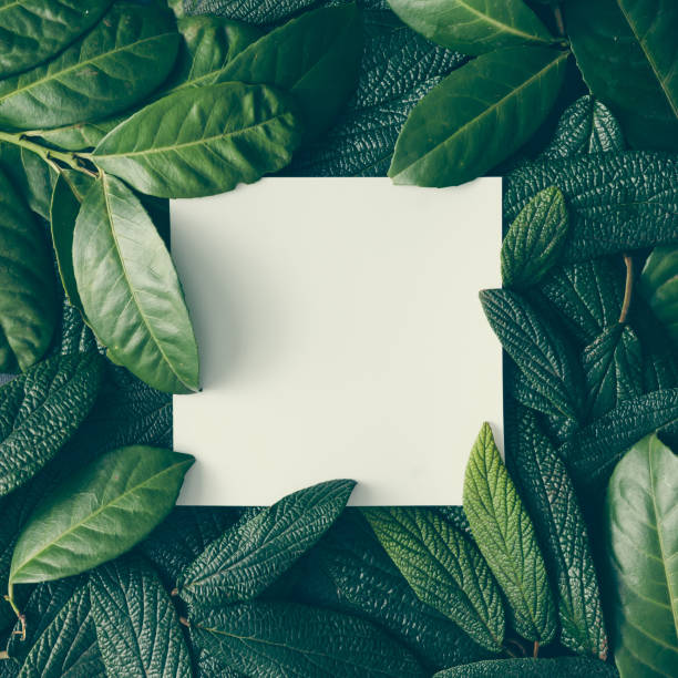 creative layout made of green leaves with paper card note. flat lay. nature concept - square stance imagens e fotografias de stock